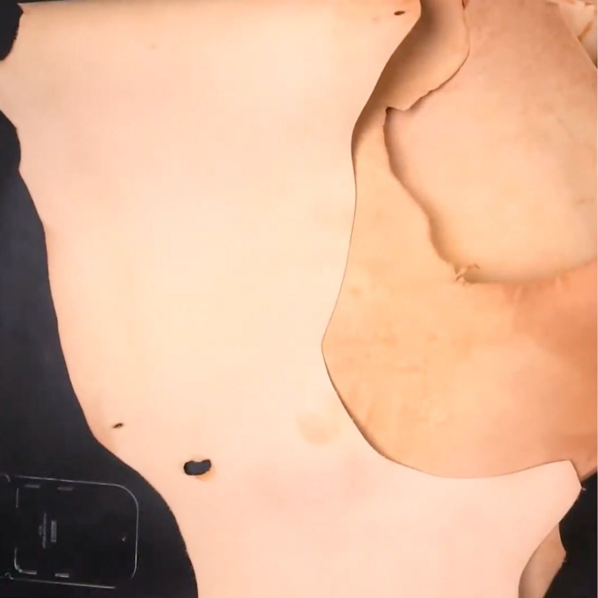 La Perla Natural Belly